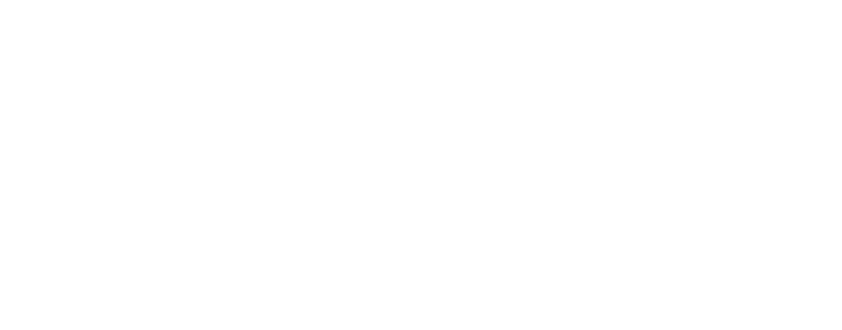 TYFOON logo